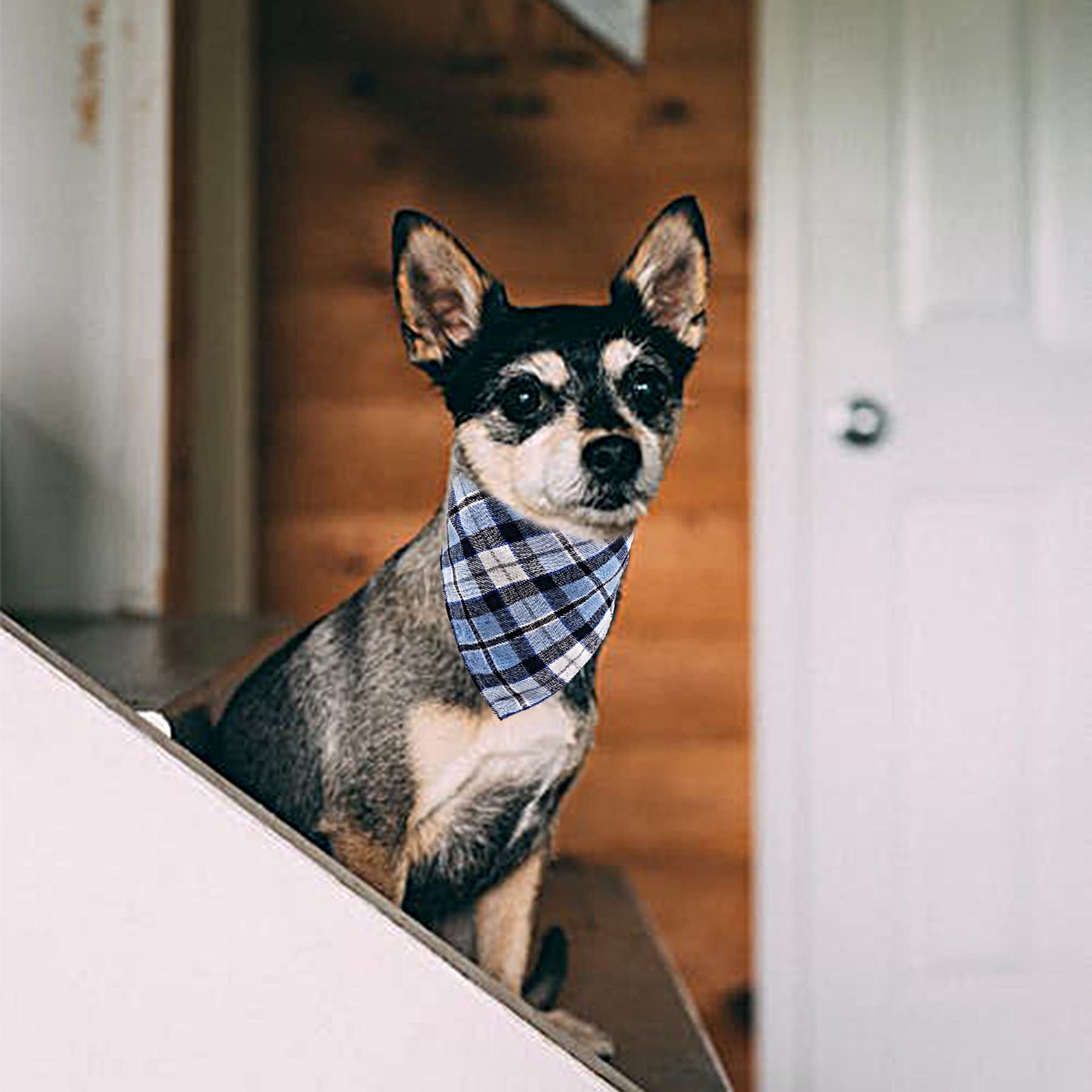 Bandana JpGdn pour petit chien, finition couture soignée, facile à entretenir.