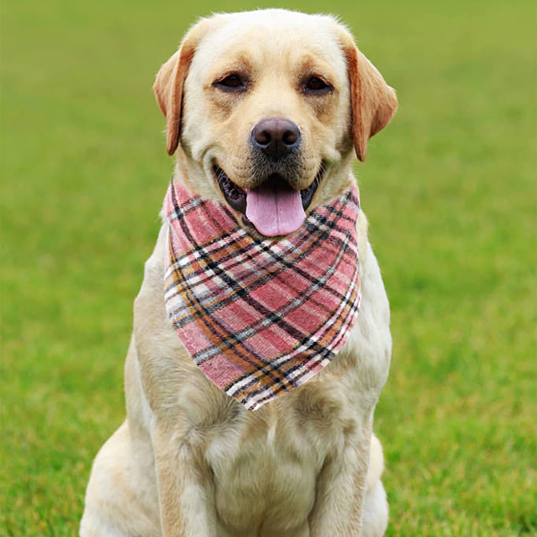 Bandana JpGdn pour petit chien, imprimé multicolore, esprit festif et chic.