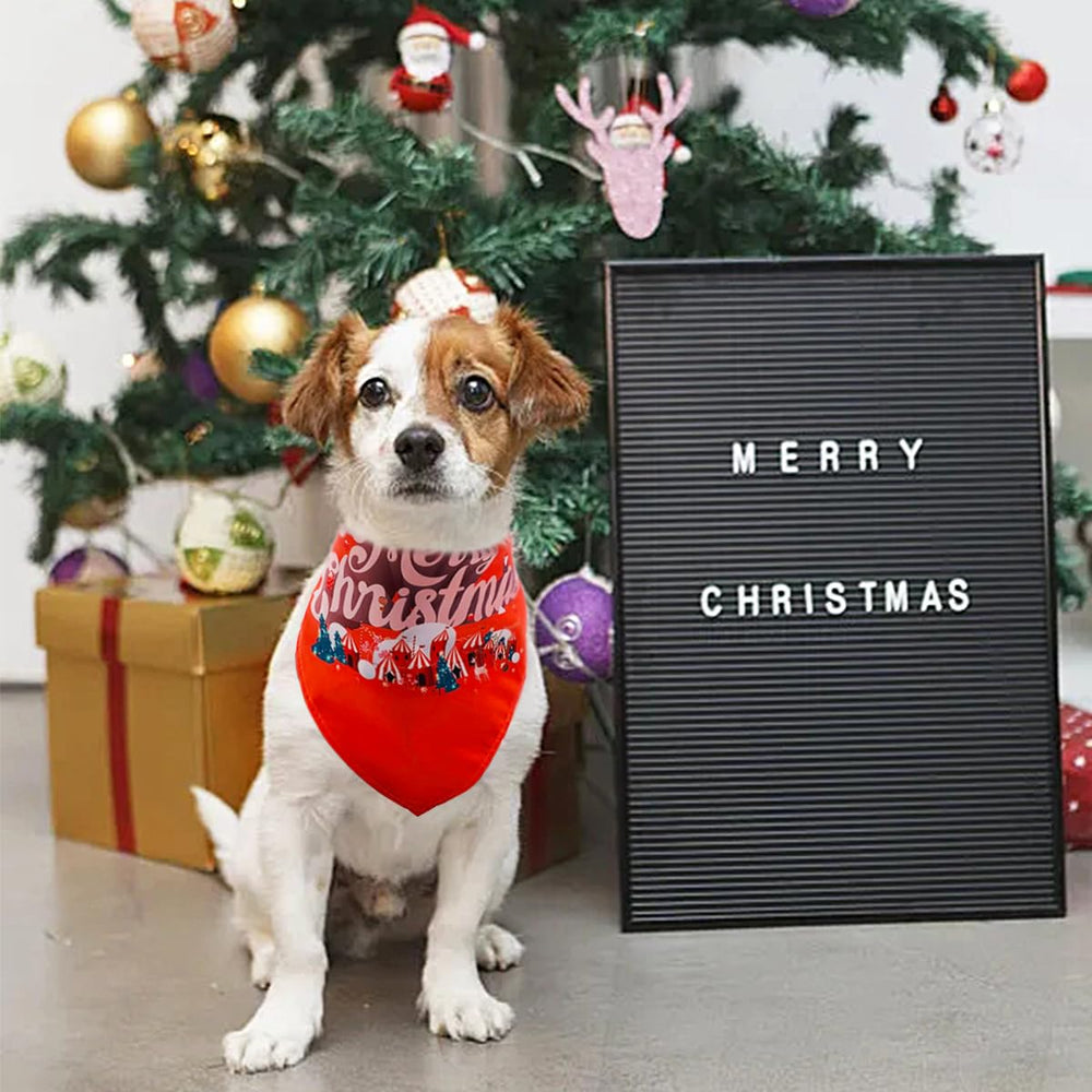 Bandana festive JpGdn, idéal pour photos et sorties familiales.