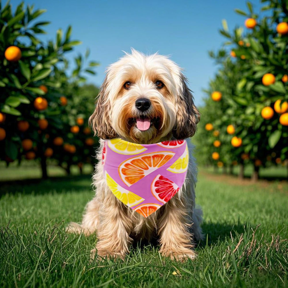 Bandanas JpGdn couleurs fruits variées, renouvellement du style quotidien.