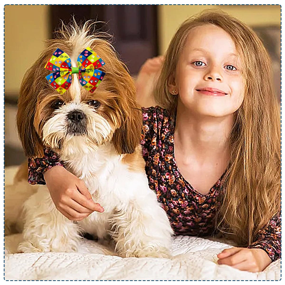JpGdn bandeau chien, détail ruban lisse, impression florale légère.