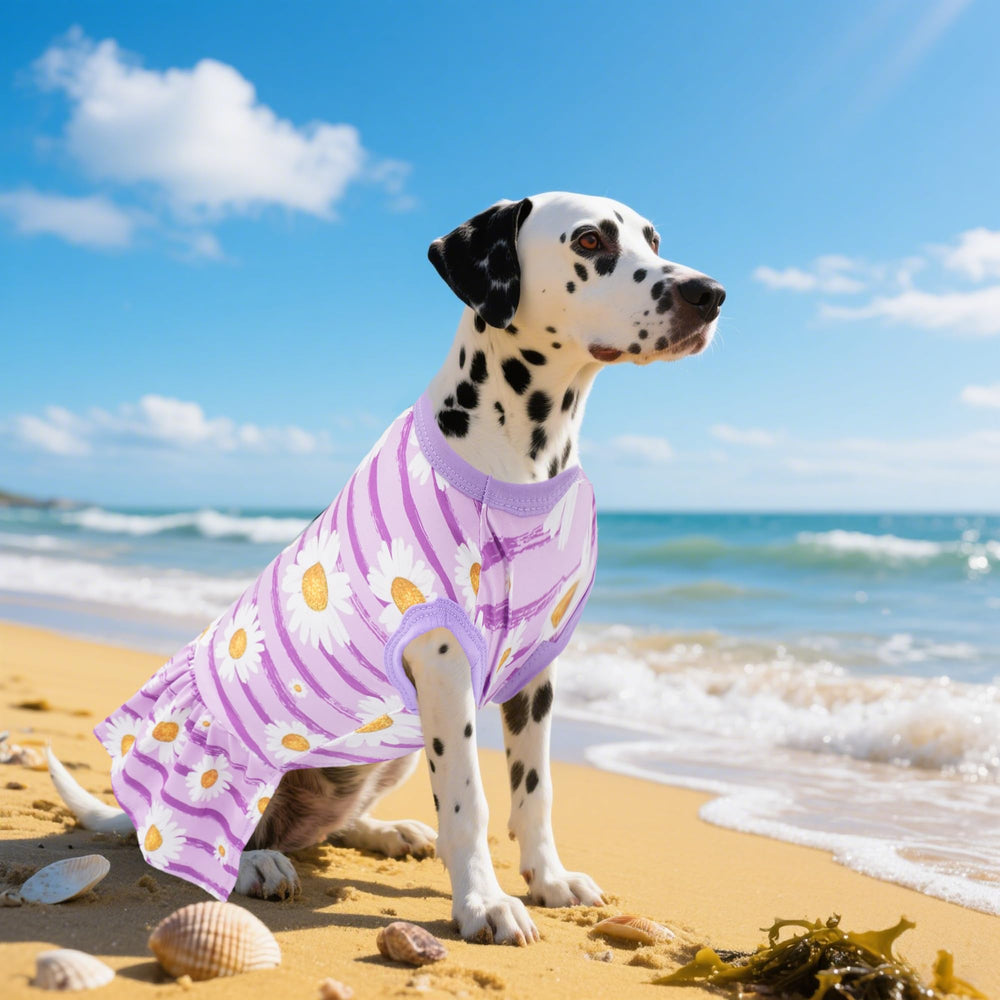 JpGdn tenue chic pour sorties et fêtes avec chien XXL.