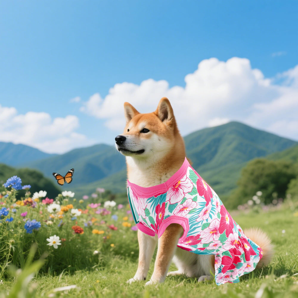 Ensemble de 4 robes JpGdn pour petites chiennes