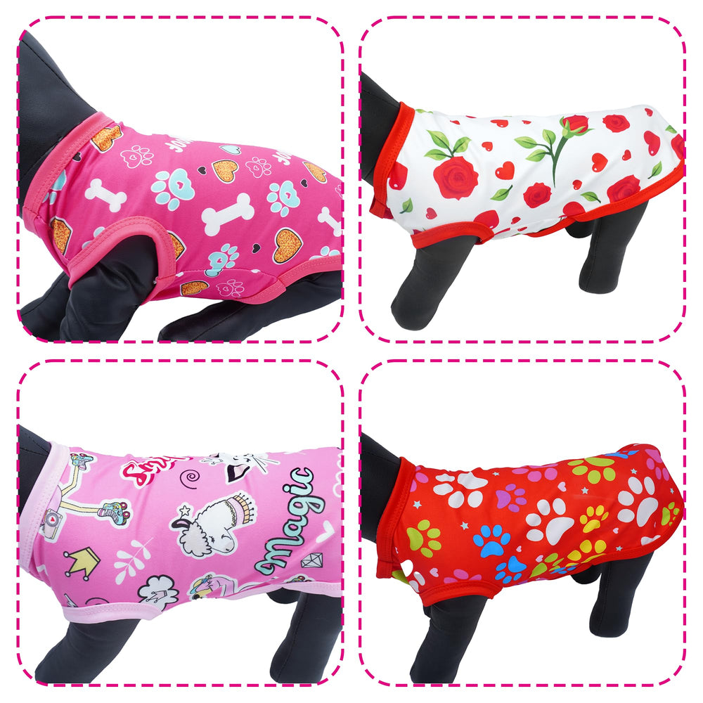 JpGdn motif fleurs et rose sur t-shirt chien, look mignon.