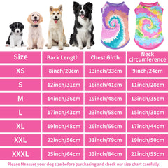 JpGdn motif spirale arc-en-ciel, look tendance pour chiot féminin