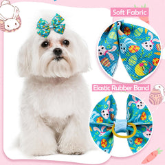Noeud JpGdn pour chien bleu – prêt pour les fêtes et les balades.
