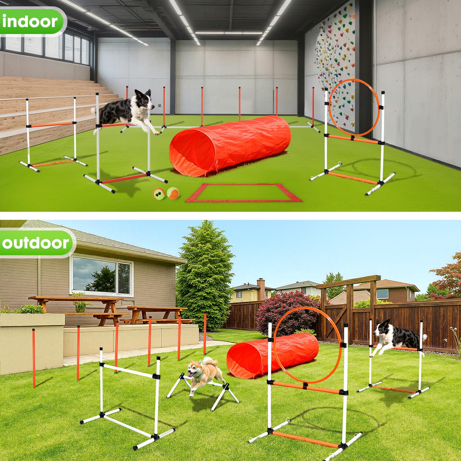 JRUICFDY – Balles-jouets inclus pour stimuler motivation et jeu interactif.