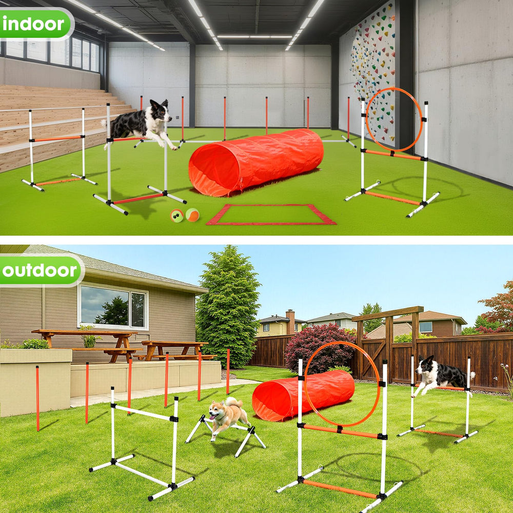 JRUICFDY – Balles-jouets inclus pour stimuler motivation et jeu interactif.