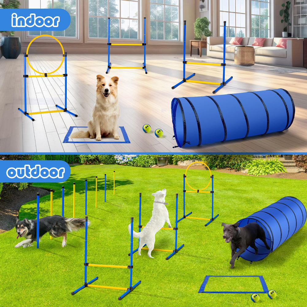 Tunnel chien agilite par JRUICFDY pour immersion et endurance