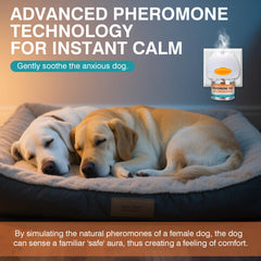 Recharge de 48 ml JTEWZX, diffusion durable pour chiens anxieux.