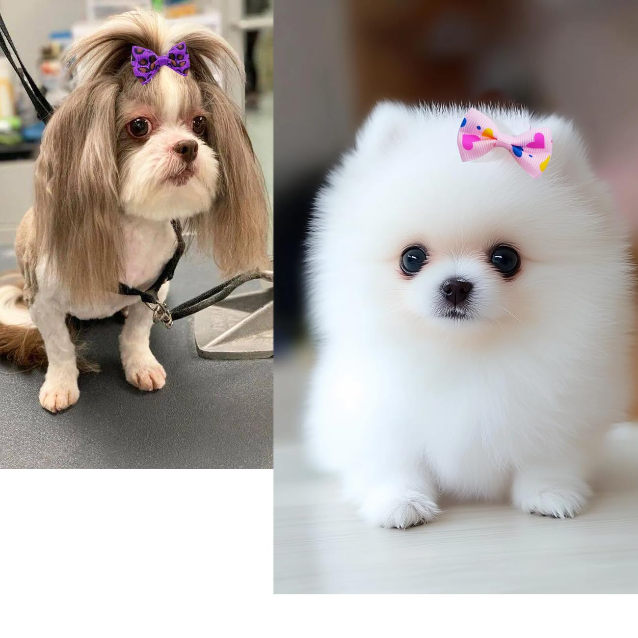 JUCCPUL barrette chien 2pouces or, nuance dorée pour occasions spéciales et photos.