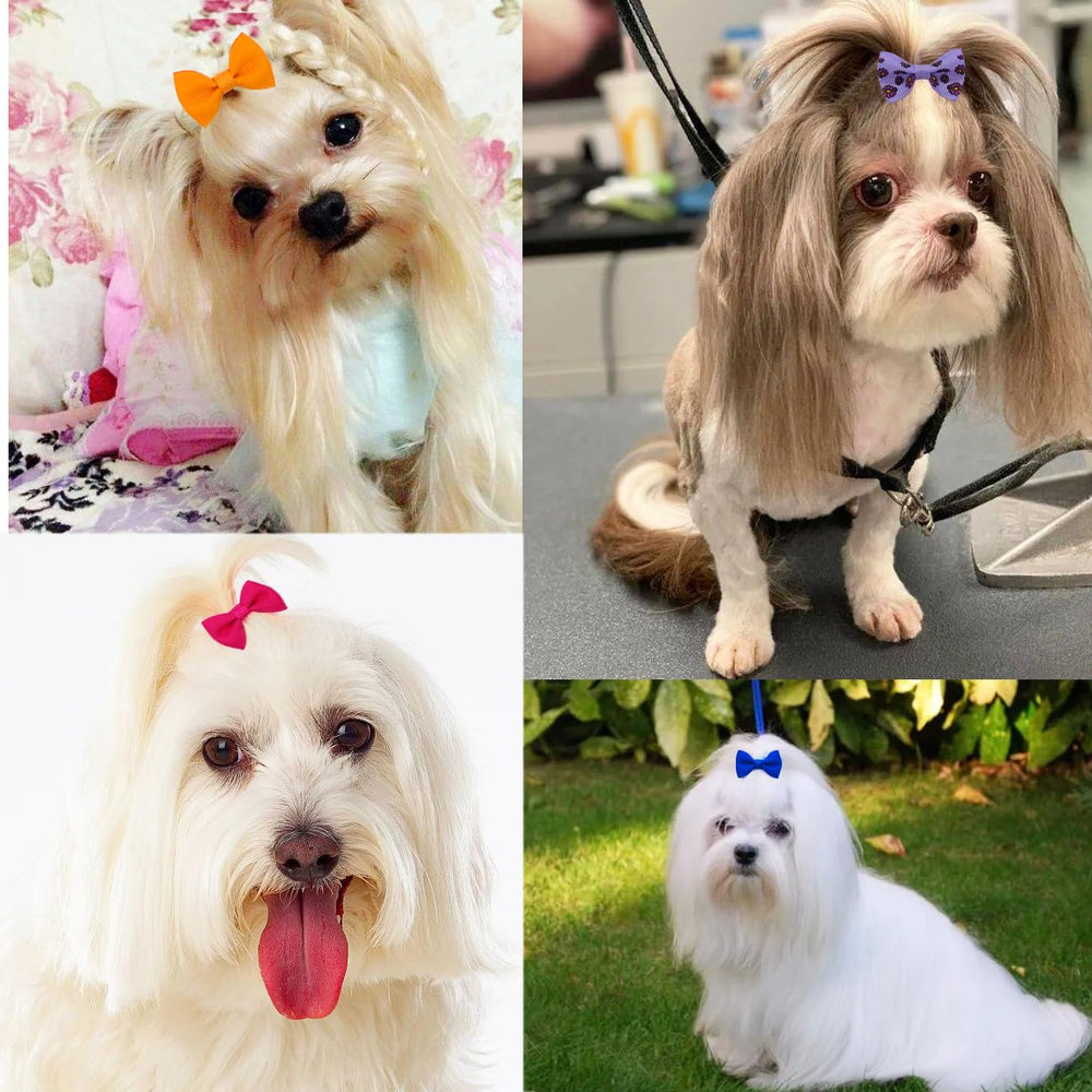 Broches JUCCPUL pour chien violet orchidée, style élégant lors d’événements.
