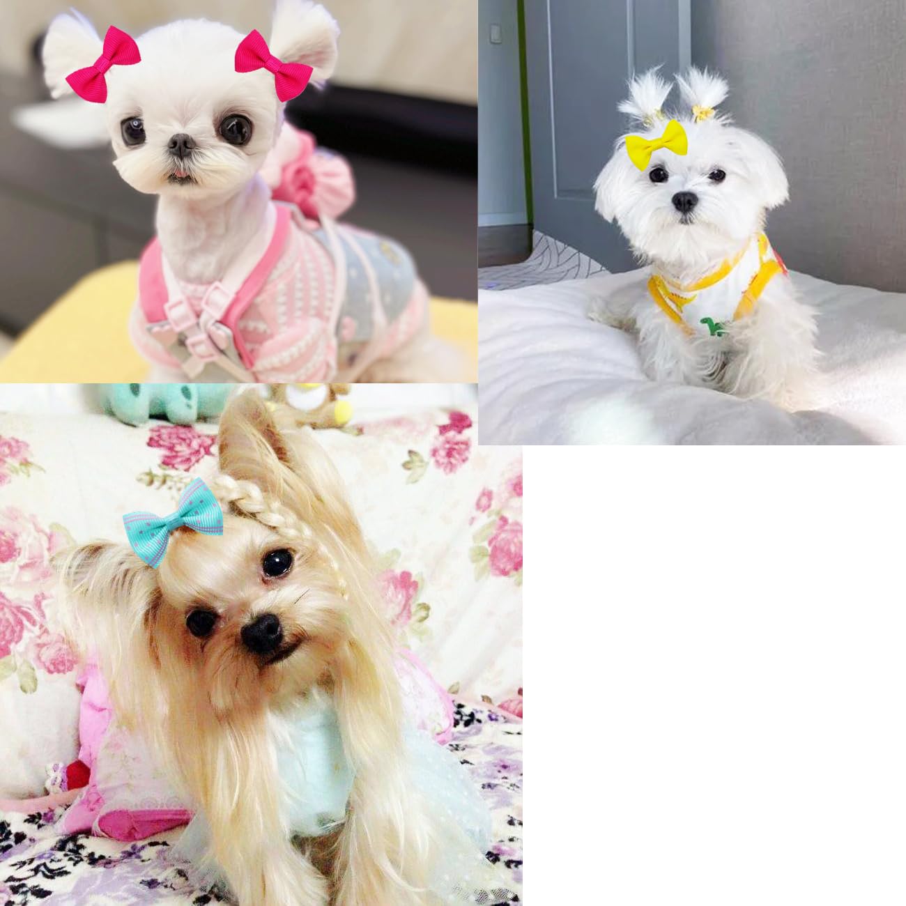JUCCPUL noeud-cheveux chien 2pouces motifs, variété de motifs pour chaque jour.