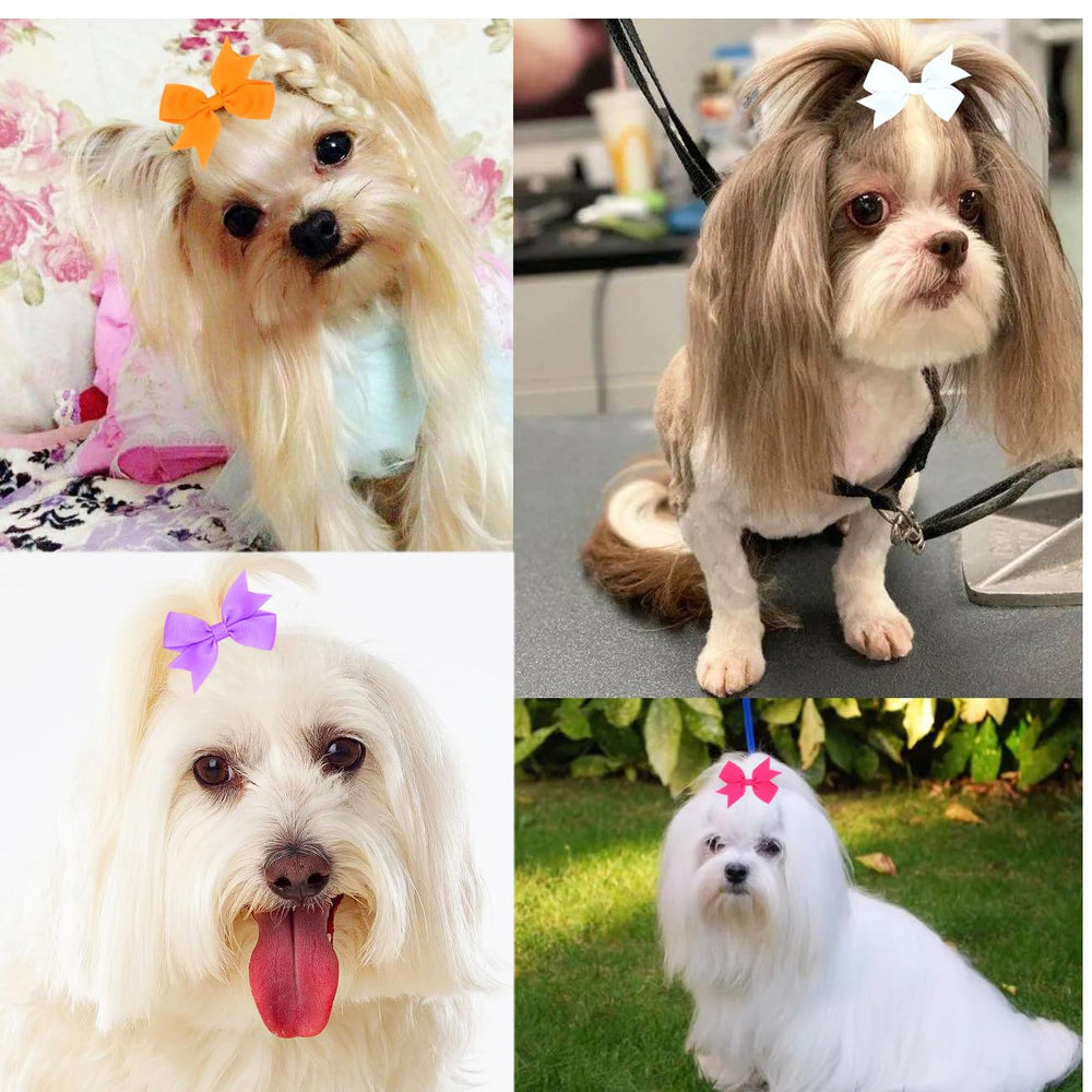 JUCCPUL noeud-poil chien vert, parfait pour petits chiens et séances photo