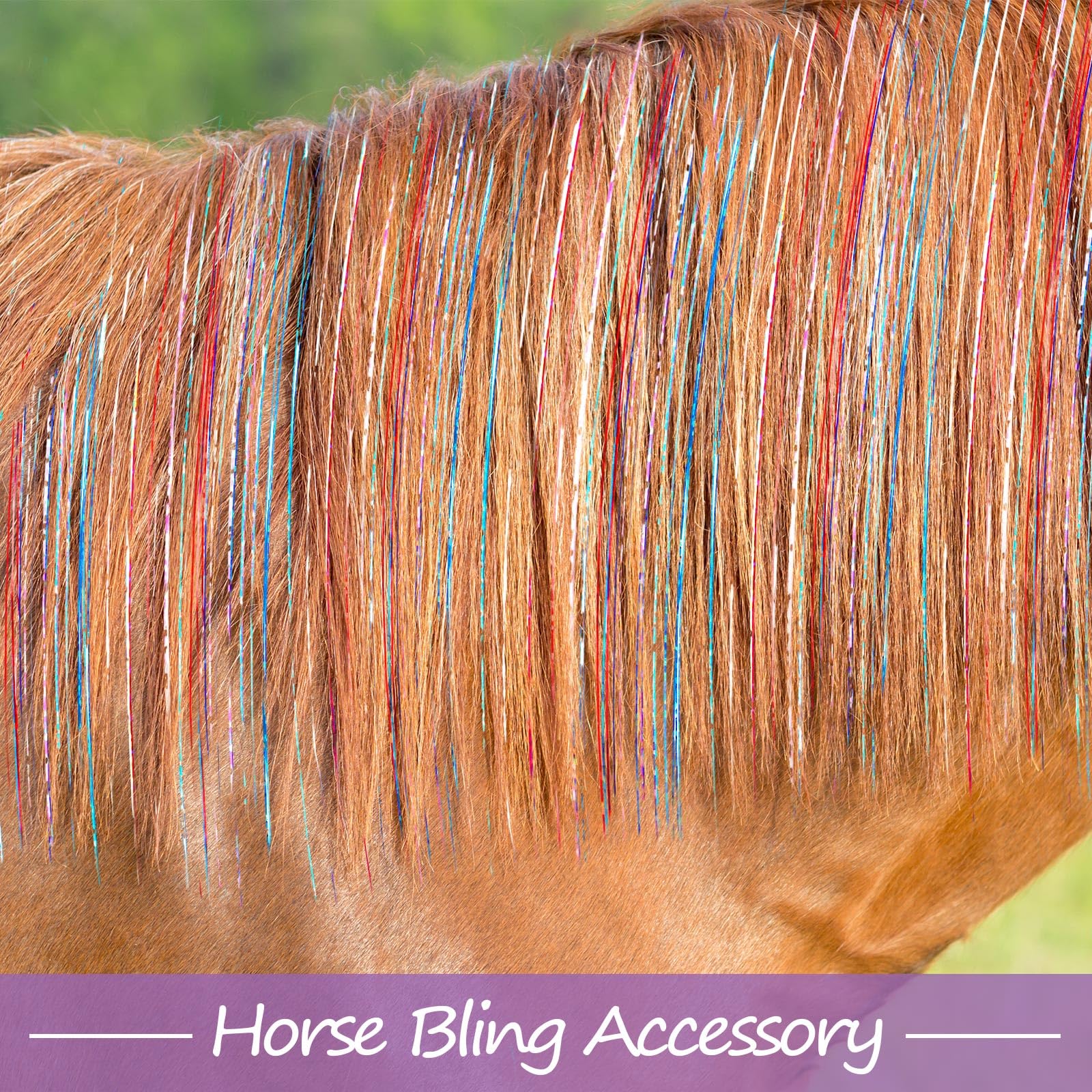 Clip PET durable Juexica résistant et brillant