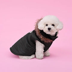 Juicy Couture veste noire pour petit chien, facile à enfiler.