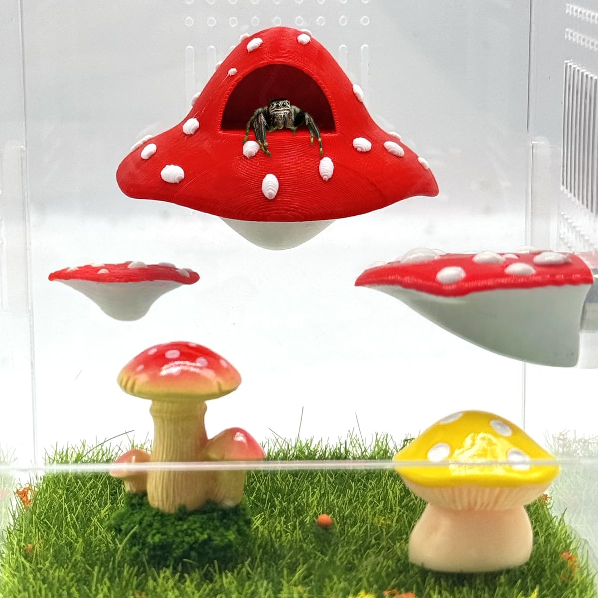 Plateformes champignon Julang – déco charmante et stable qui embellit l’enclos