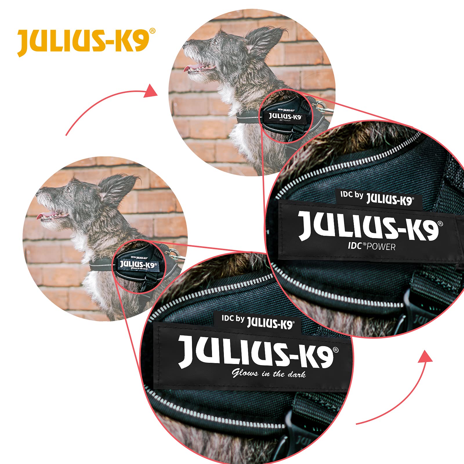 Julius-K9 IDC Powerharness sacoche latérale 3L/4L pratique.