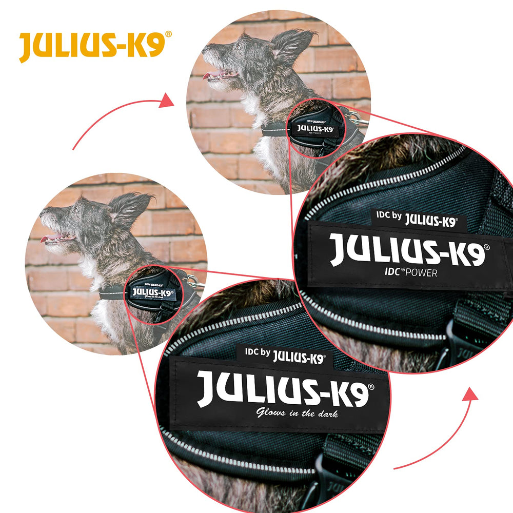 Julius-K9 IDC Powerharness sacoche latérale 3L/4L pratique.