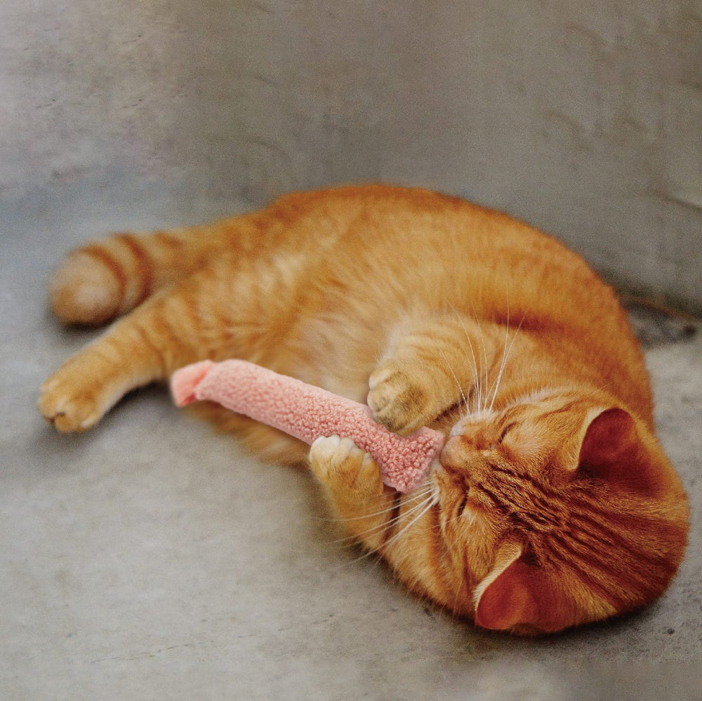 Jumpaws: accessoires pour chat d’intérieur, stimulation et enrichissement quotidien.