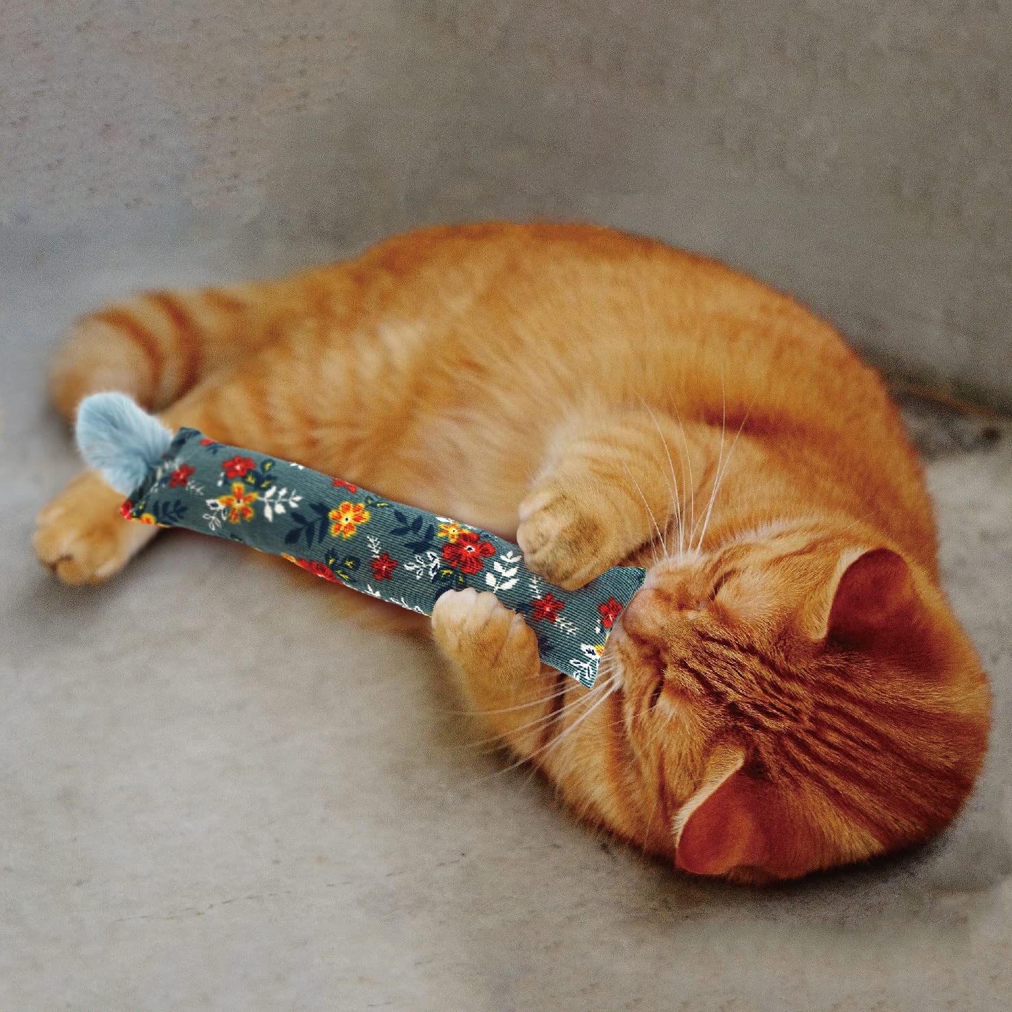 Jumpaws ensemble accessoires inclus simplifie les sessions de jeu.