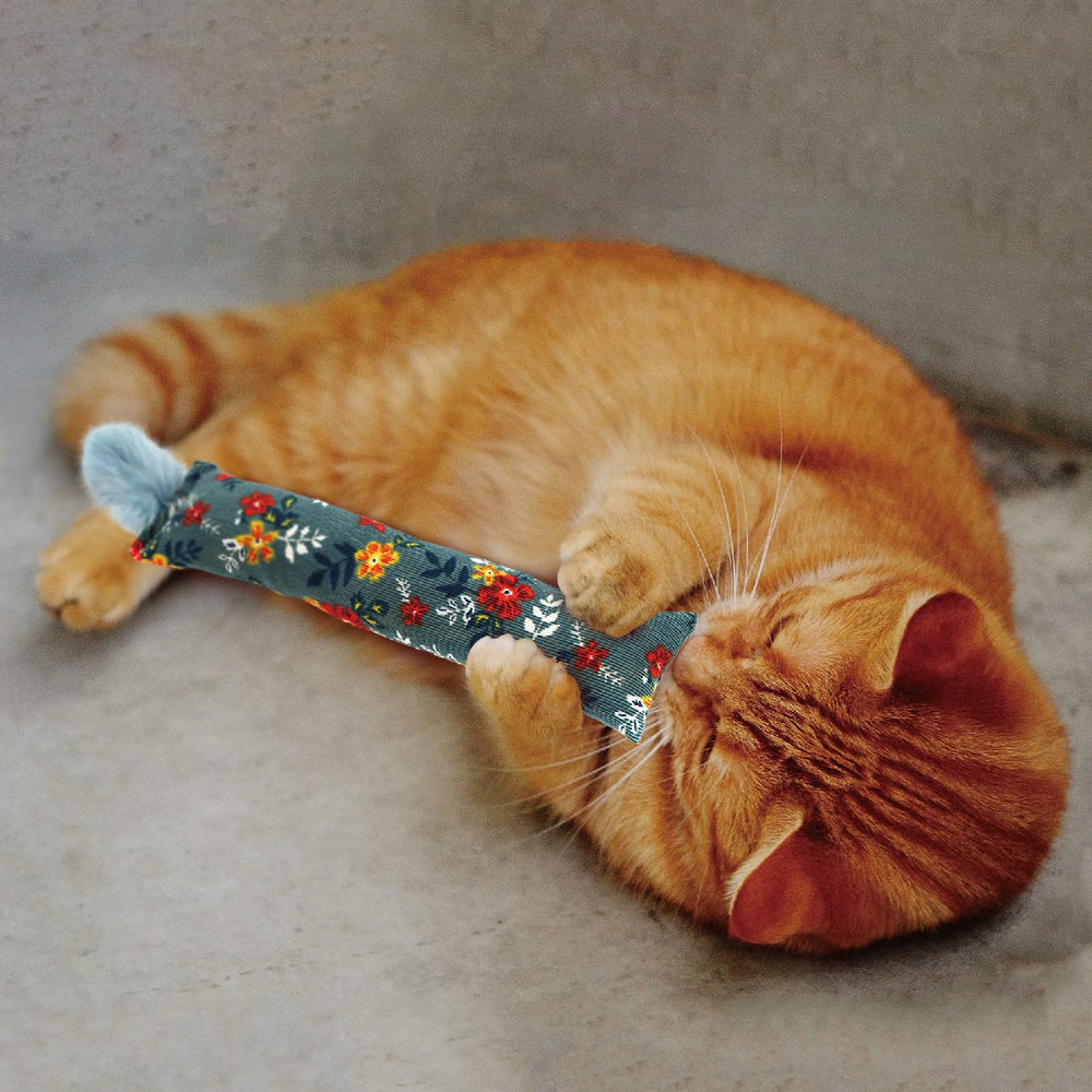 Jumpaws ensemble accessoires inclus simplifie les sessions de jeu.