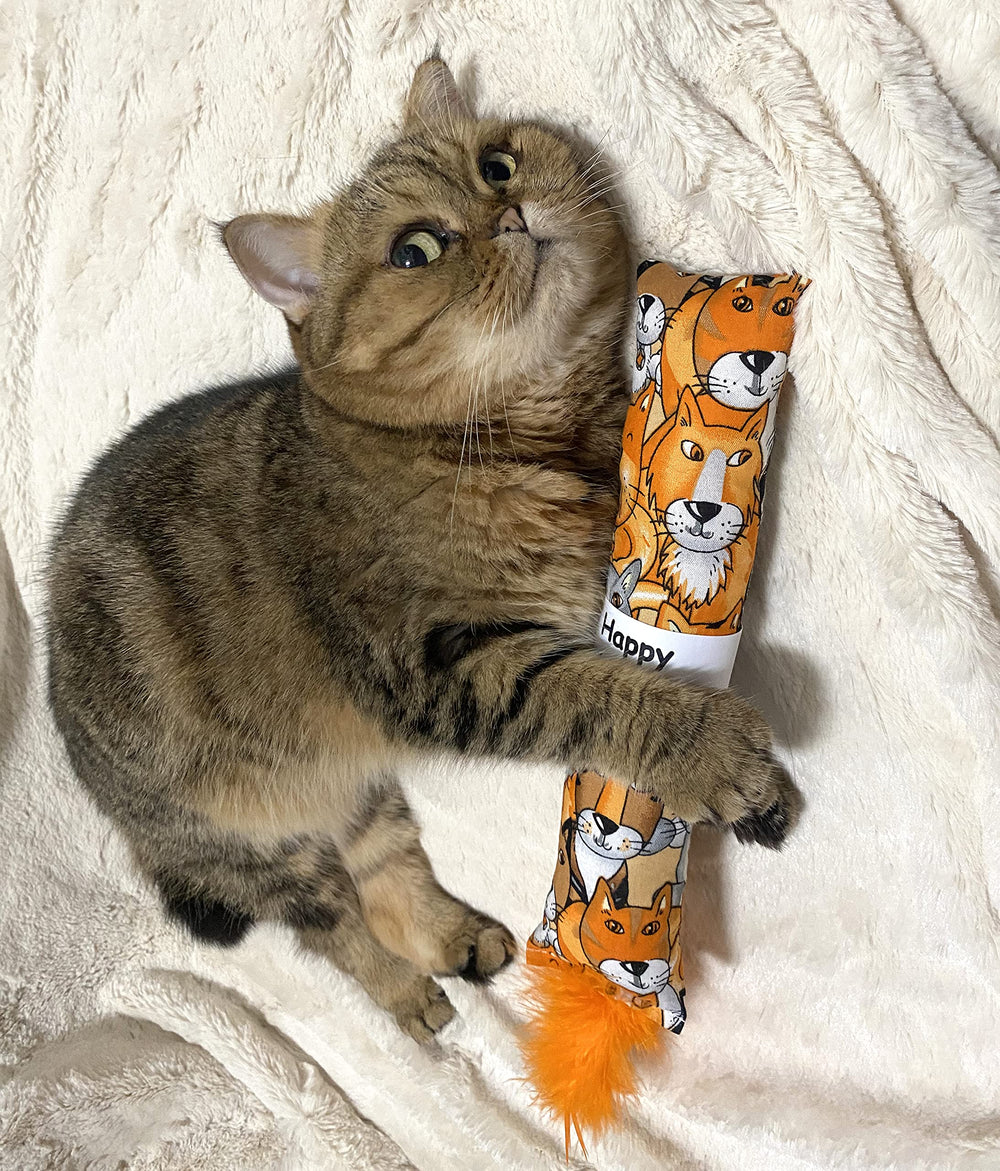 Jouet Jumpaws avec plumes et texture froissée pour stimulation sensorielle