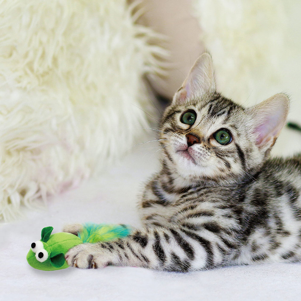 Jumpaws jouet multicolore avec plumes naturelles, incite à l'interaction