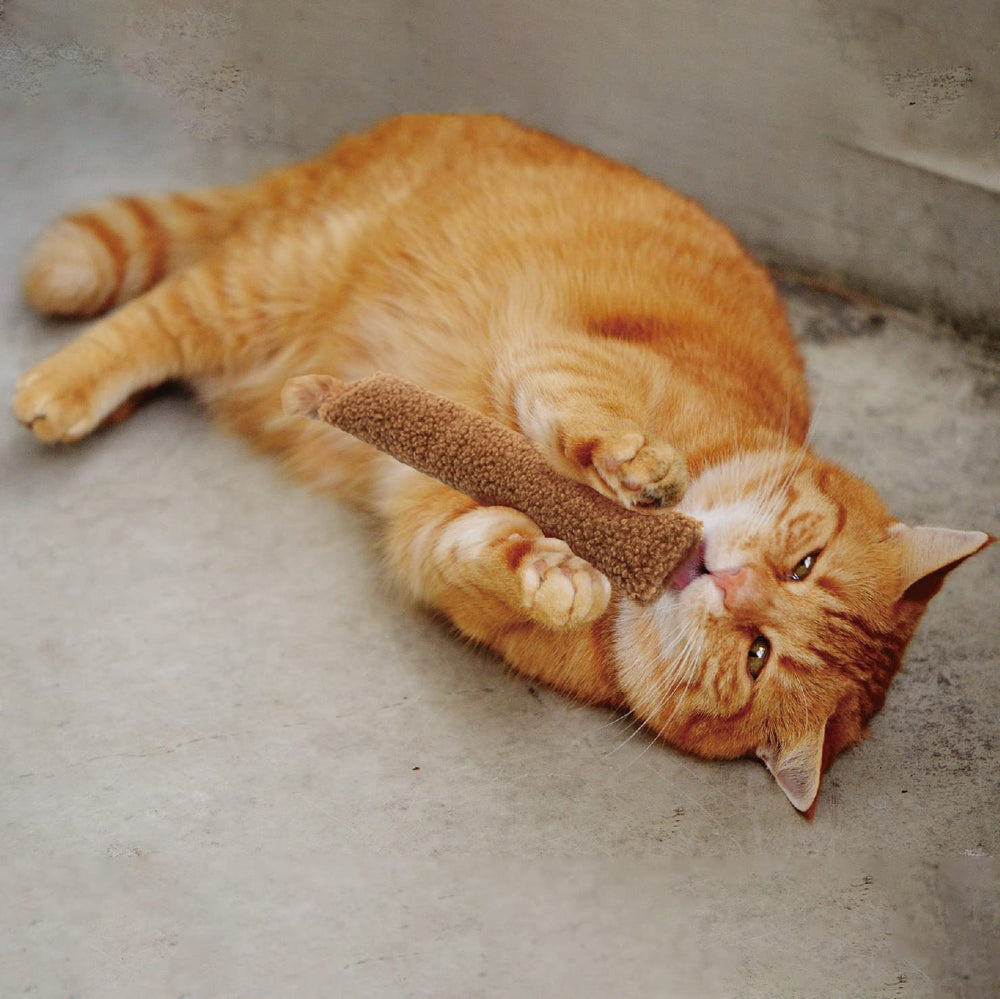 Jumpaws: son croustillant et queue de plumes attirant le chat et favorisant l’exercice.