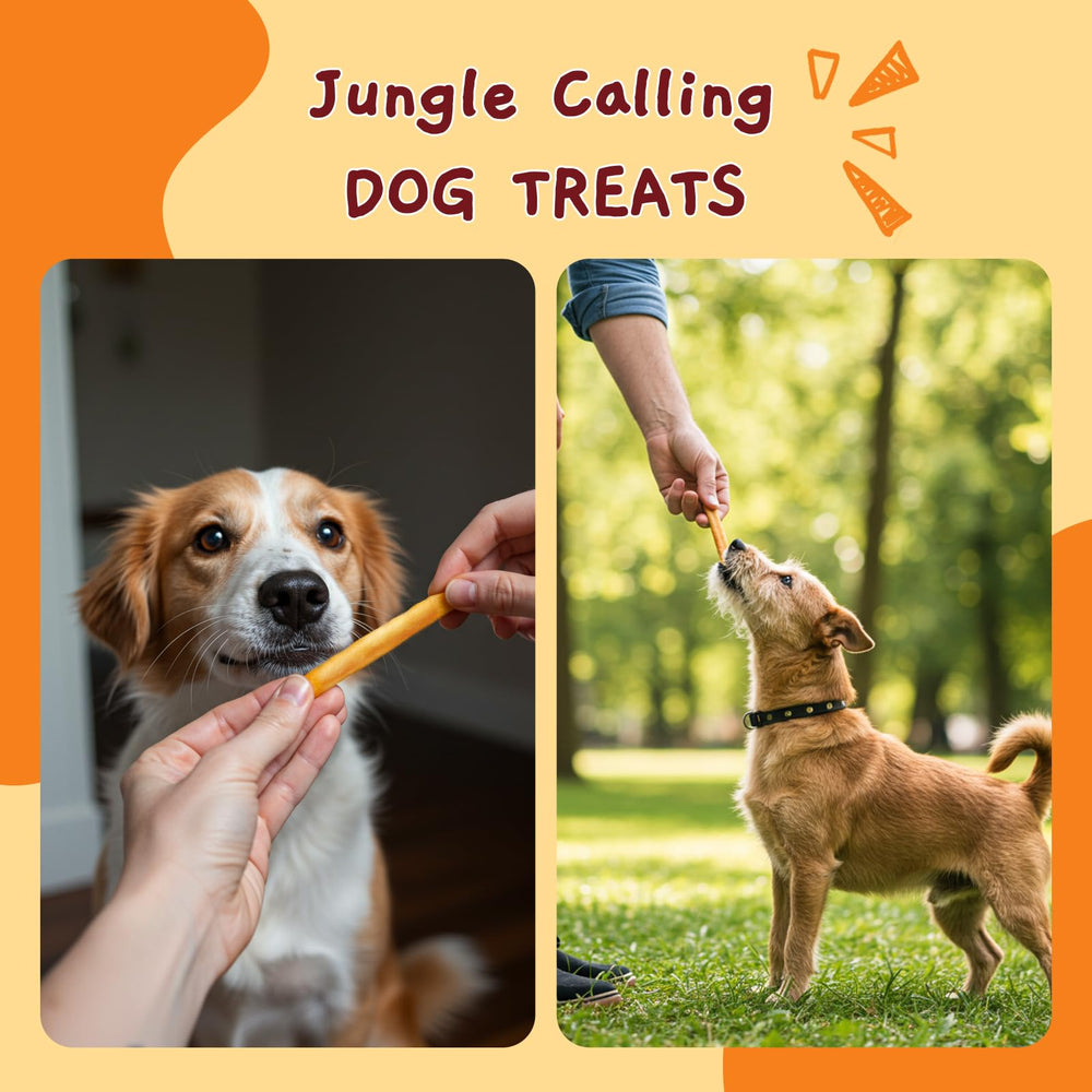 Emballage pratique Jungle Calling, portions faciles a prendre lors des sorties.