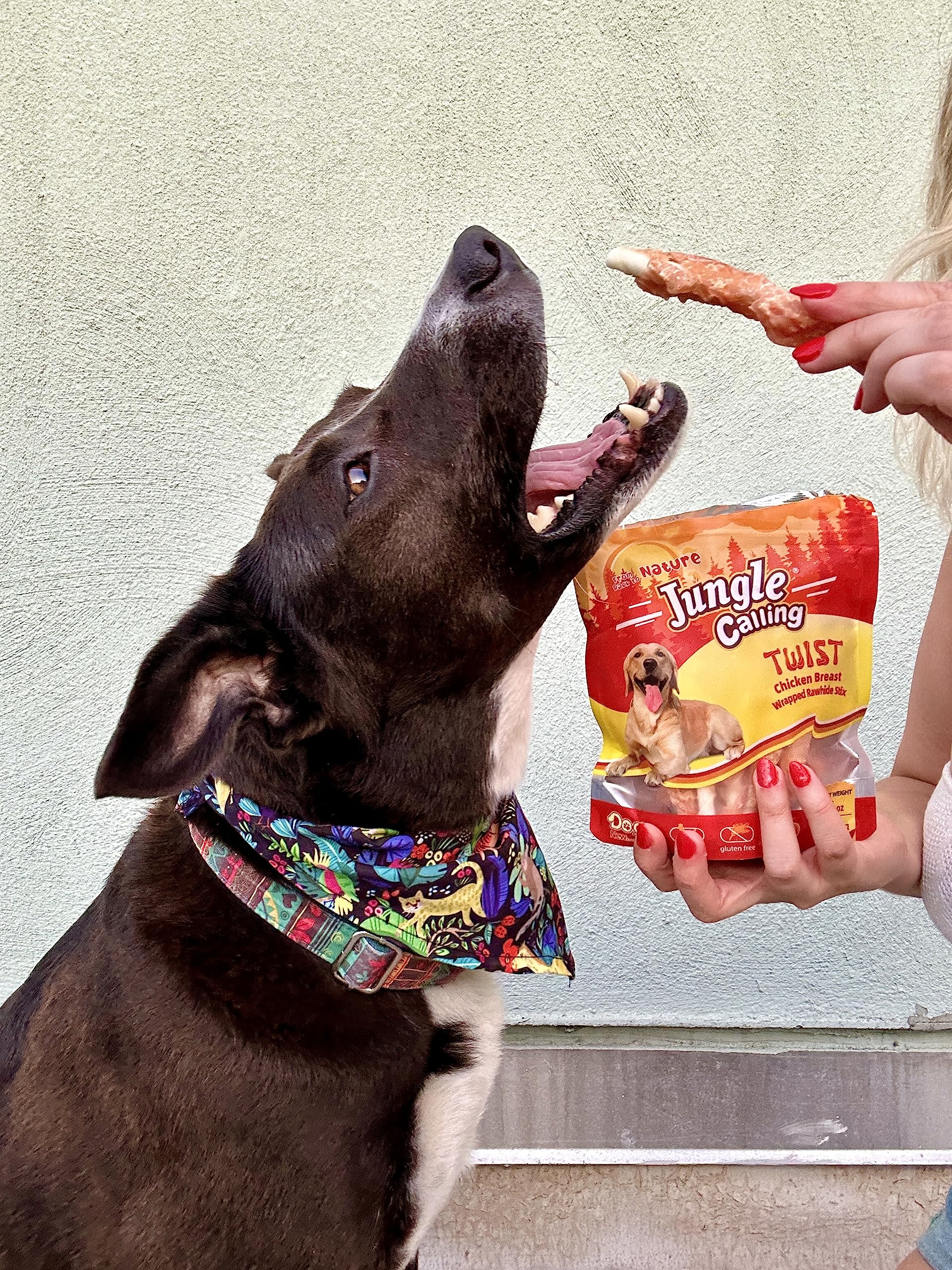 Ingrédients naturels Jungle Calling pour chiens sensibles et digestion facilitée.