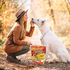 Chien mange un kabob Jungle Calling au poulet, récompense idéale pour l'entraînement.