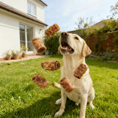 Rouleaux Jungle Calling saveur beurre d'arachide, snack pour chien gourmand.