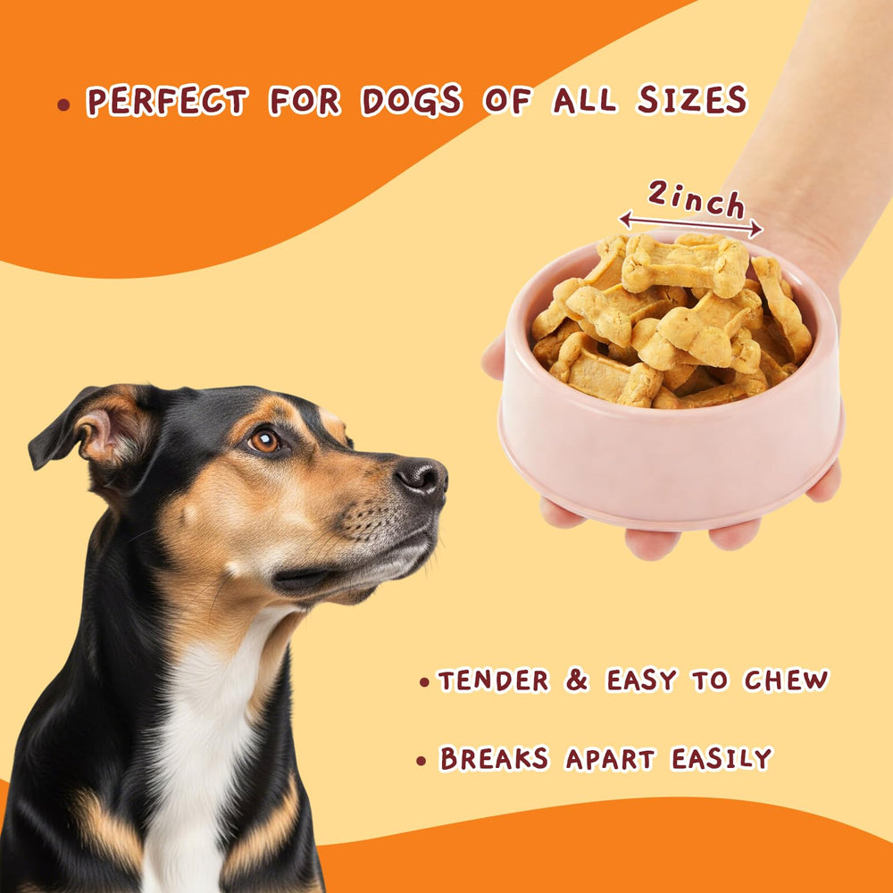 Taille pratique pour petits et moyens chiens lors de l’entraînement.