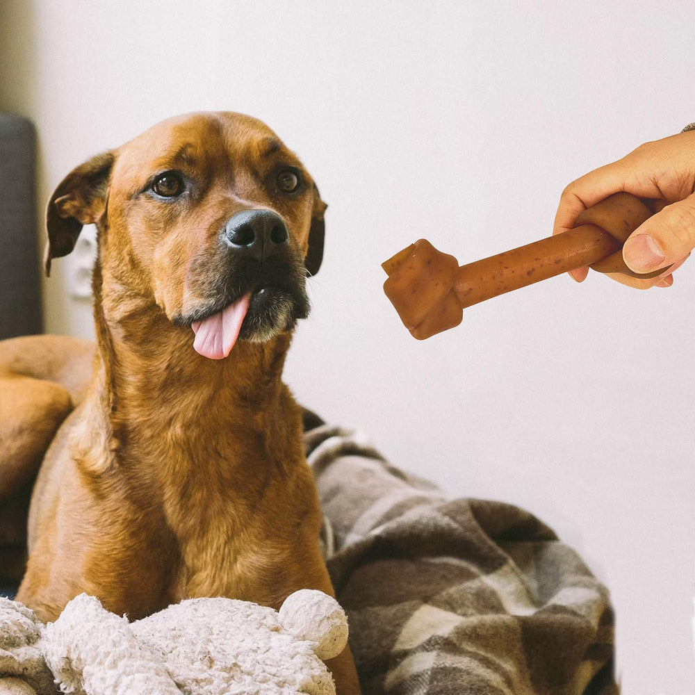 Friandises sans cuir Jungle Calling, soutien potentiel à l’hygiène buccale lors des mâchages