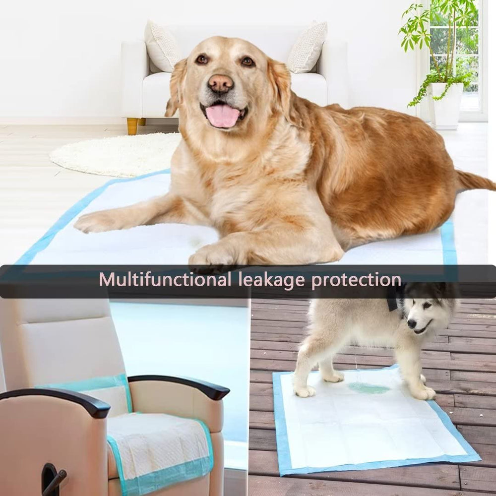 JunyuHu format grand 36x36, idéal pour voyage et protection lors des déplacements.