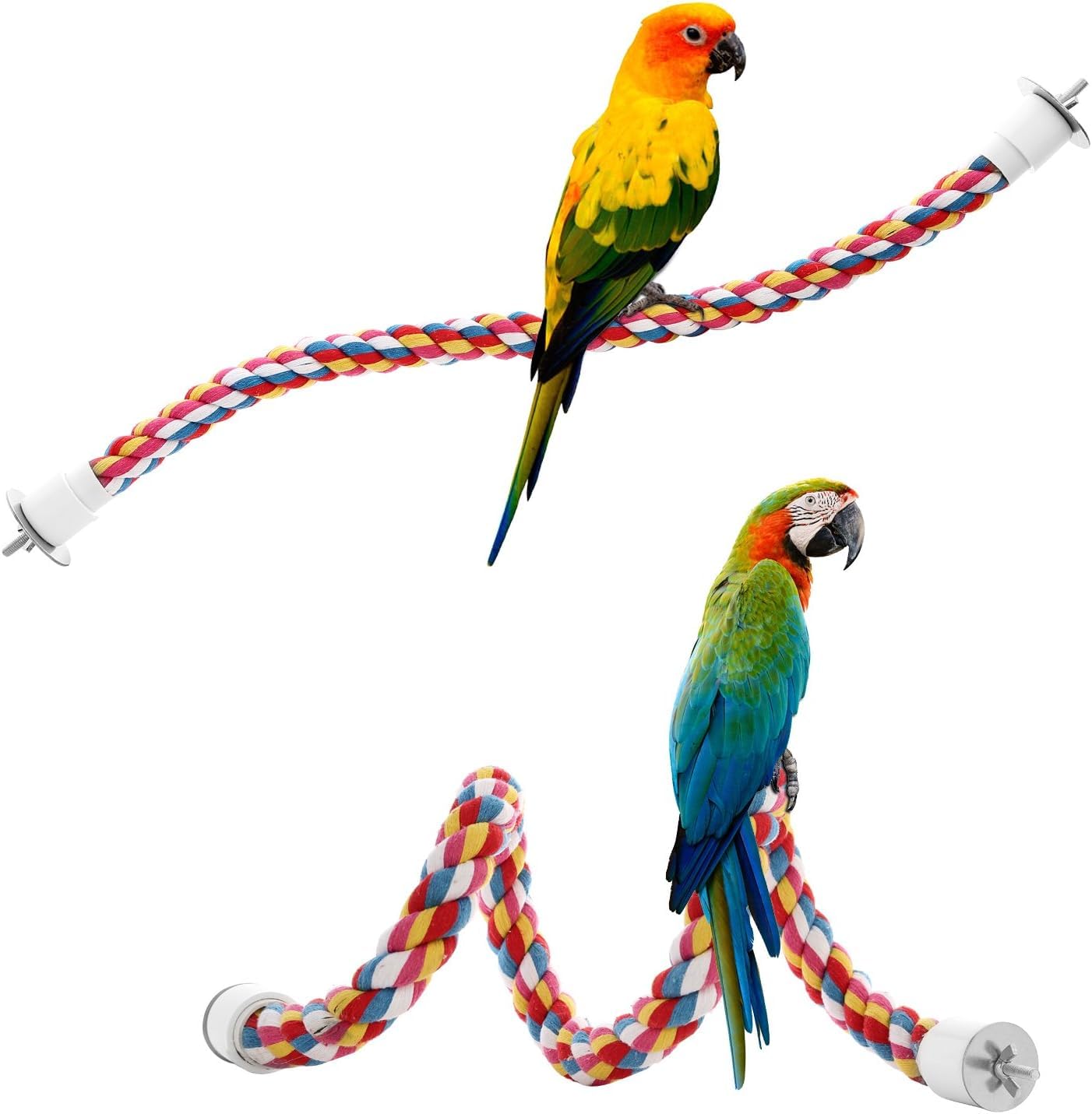 Exercice muscles oiseau Jusney: encourage le mouvement et la tonicité.