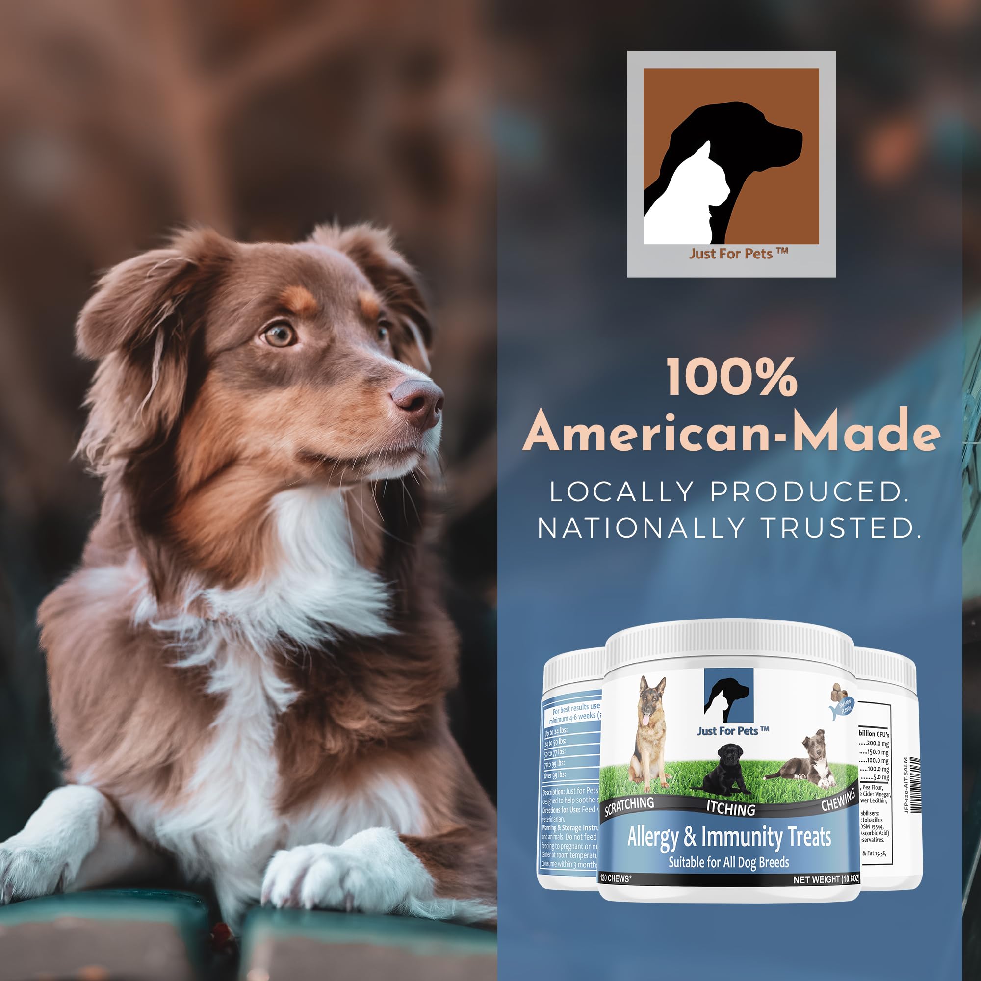 JUST FOR PETS – chien mange-bouchées, moment de récompense quotidien