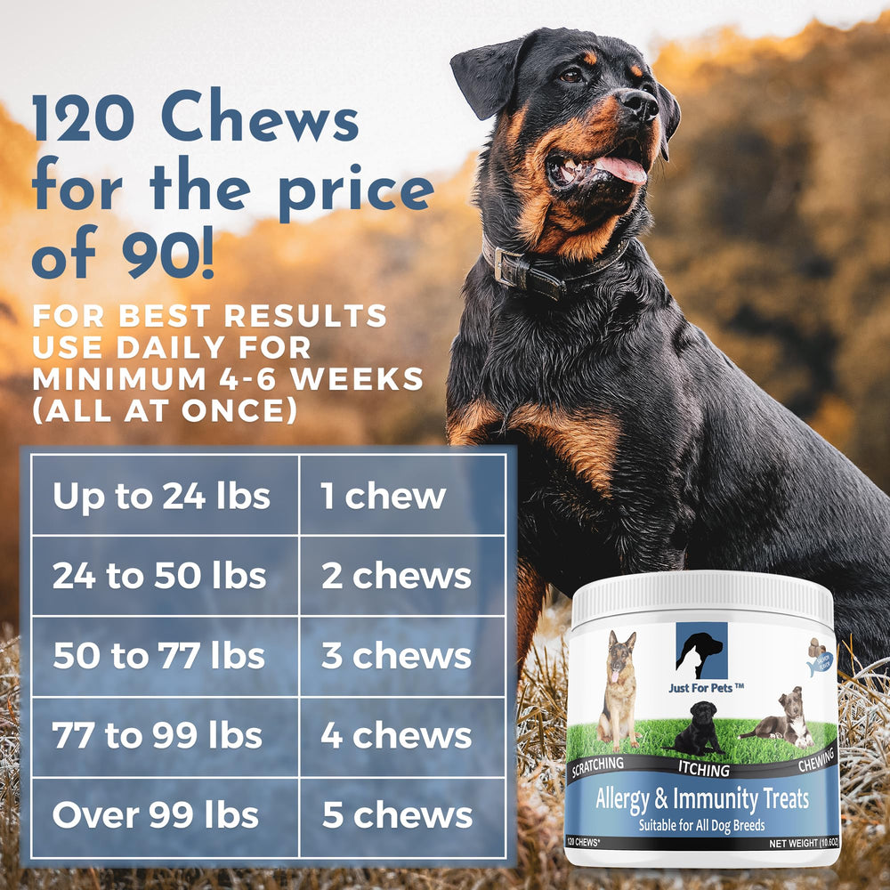 JUST FOR PETS – flacon de probiotiques pour chien, soutien digestif