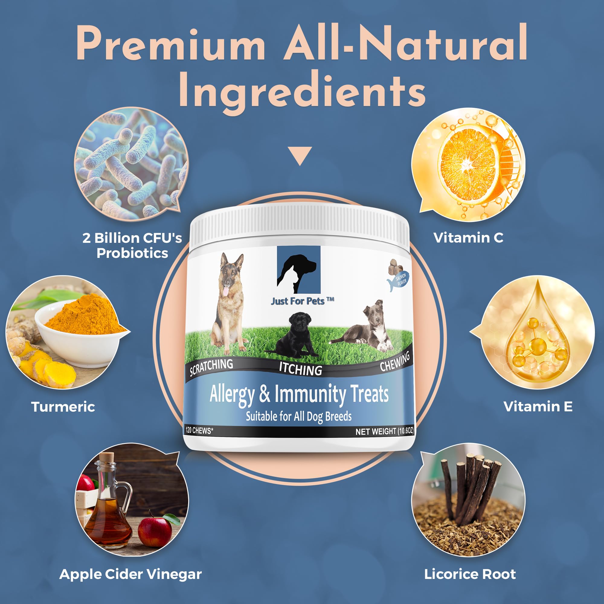 JUST FOR PETS – saveur saumon des friandises pour chien, appétentes