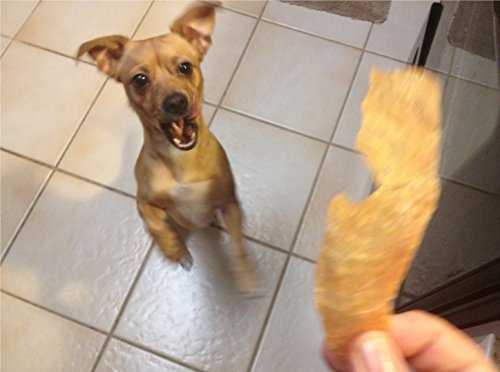 Just Jerky Treats, portion poulet pour chien idéale en déplacement