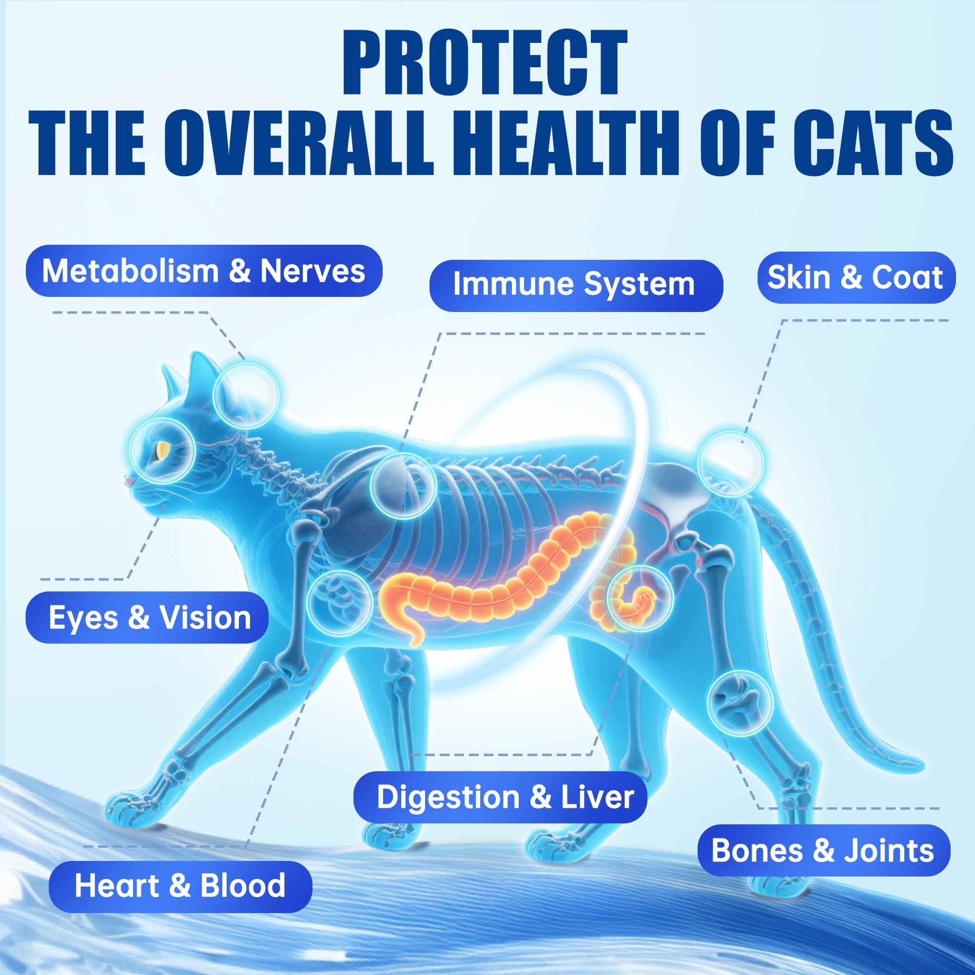 Just Try 23 en 1 Taurine pour chats : chat en train de croquer les gommes.