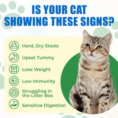 Just Try 300 Bites: bocal pratique montrant les friandises probiotiques pour chats.
