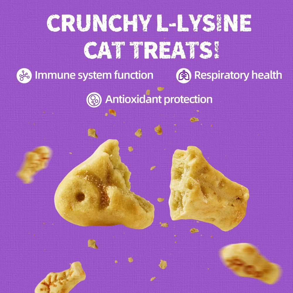 Just Try Lysine chat – biscuits dentaires pour hygiène buccale