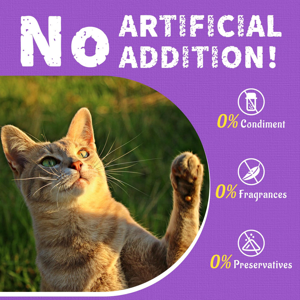 Just Try Lysine chat sans additifs, friandise naturelle