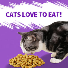 Just Try Lysine chat texture croquante, aide à nettoyer les dents