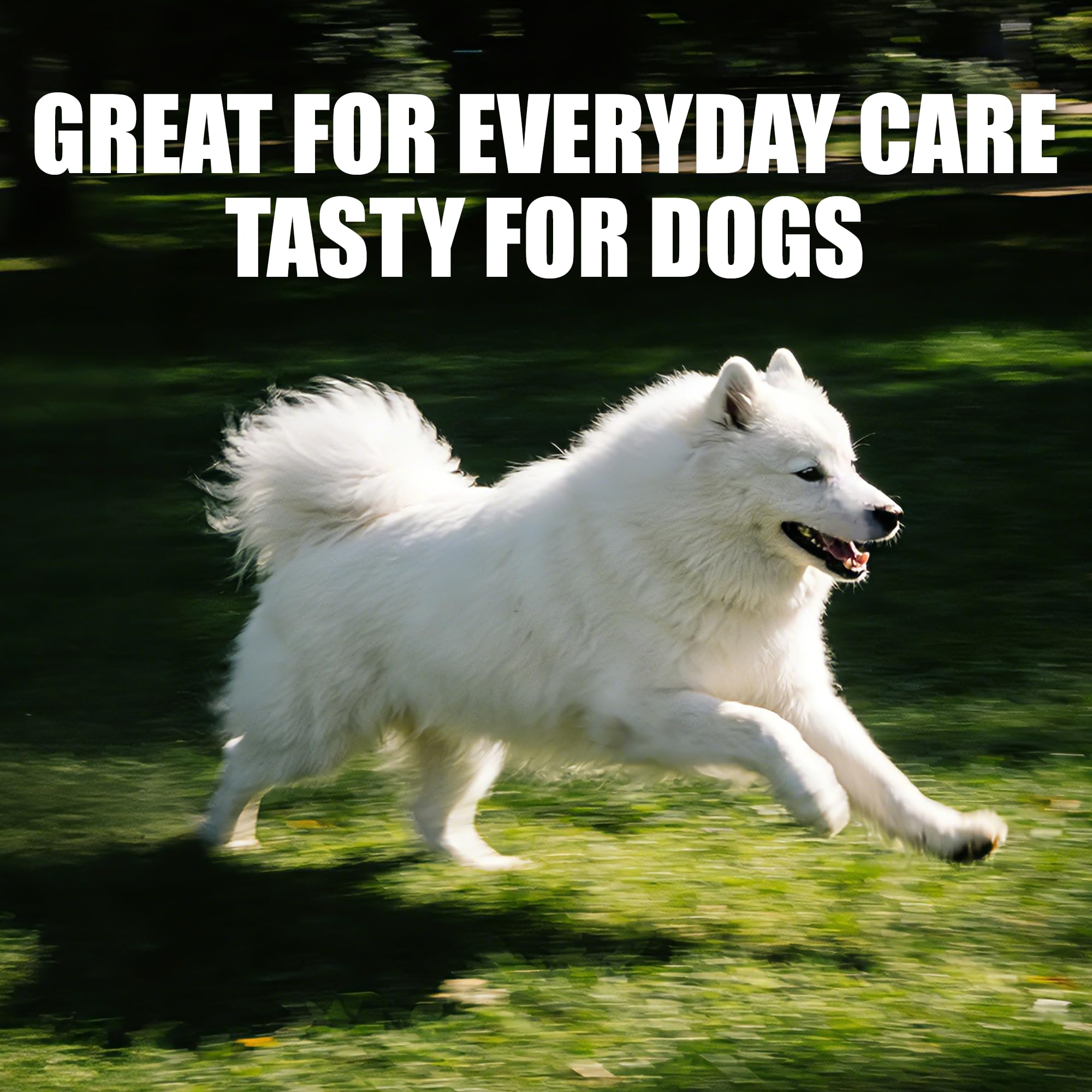 Just Try CoQ10 Antioxydant Poulet Chien