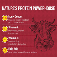 Just Try foie-boeuf riche en fer et vitamine A, soutien nutritionnel.
