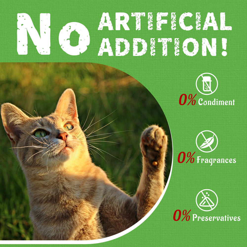 Just Try friandises jerky à l’herbe à chat – pot refermable pour conserver la fraîcheur