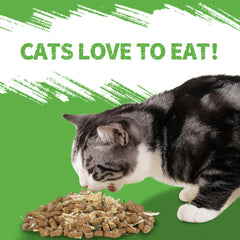 Just Try friandises jerky à l’herbe à chat – texture double pour stimulation et récompense